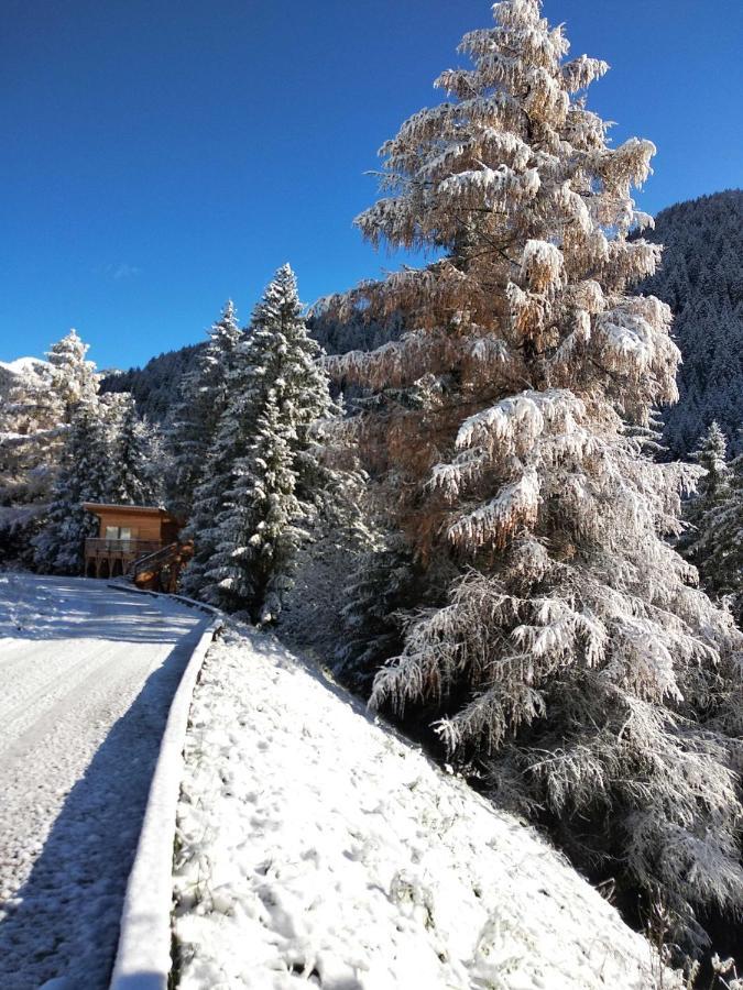 Eco-Green Fiores Agriturismo Vigo di Fassa Exterior foto